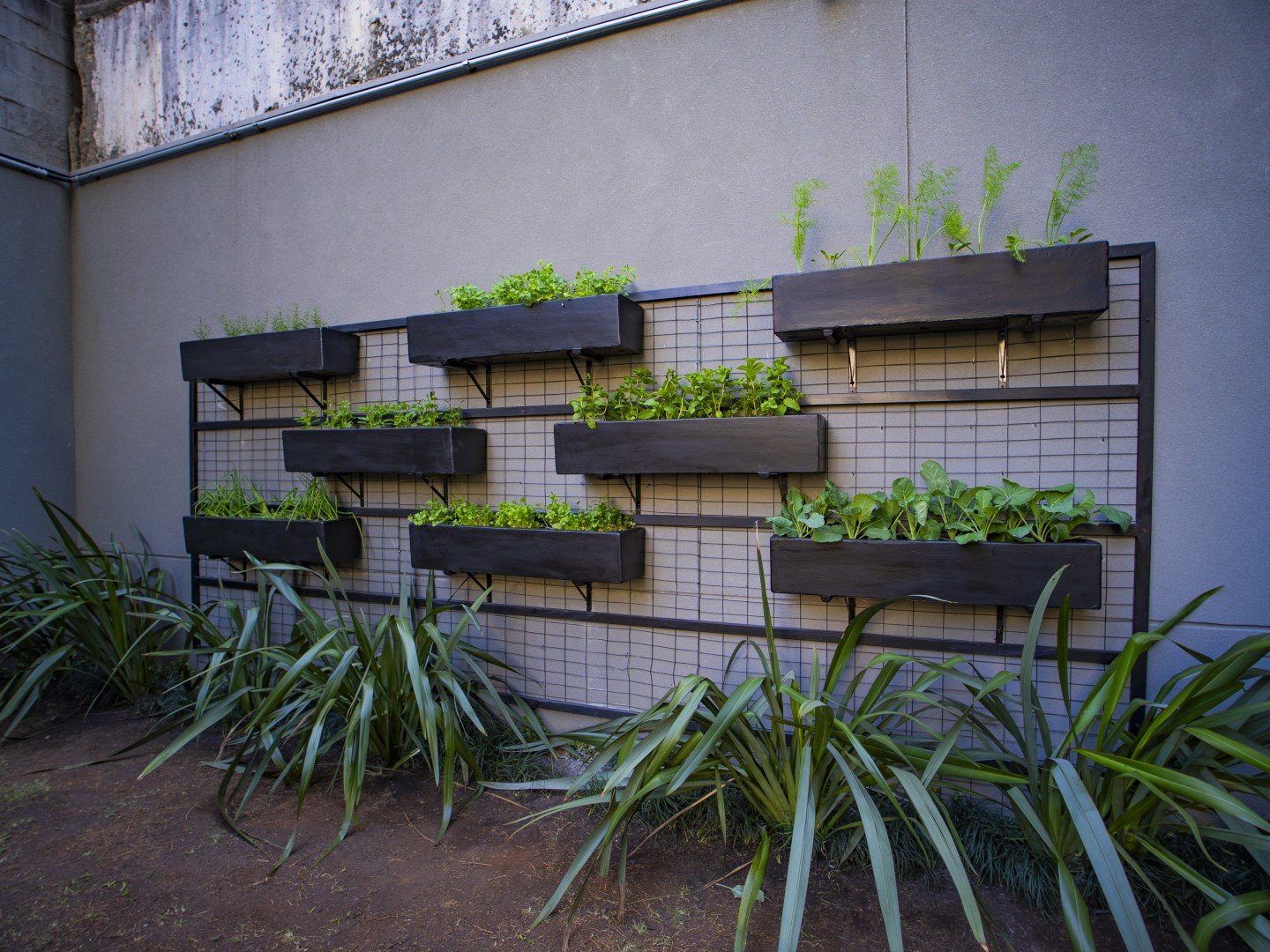 Horta vertical