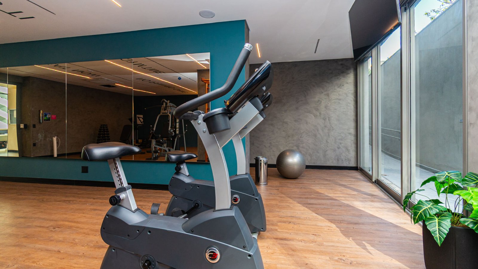 Fitness